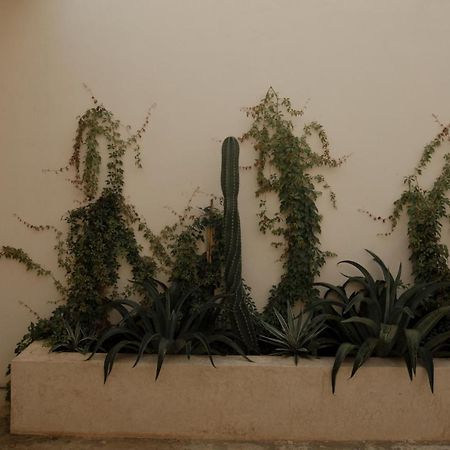 Narrativ Lofts -Solario- Charming Historic Escape Apartment Campeche Bagian luar foto